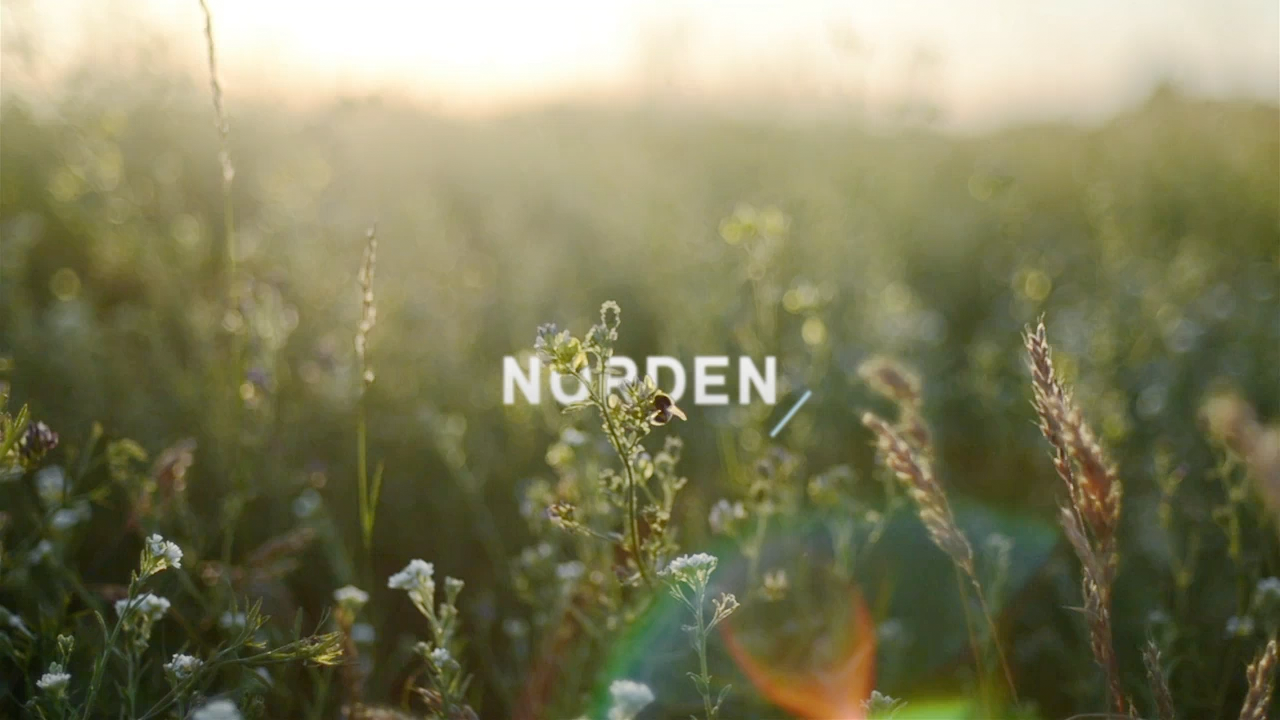 NORDEN Showreel Placeholder Image
